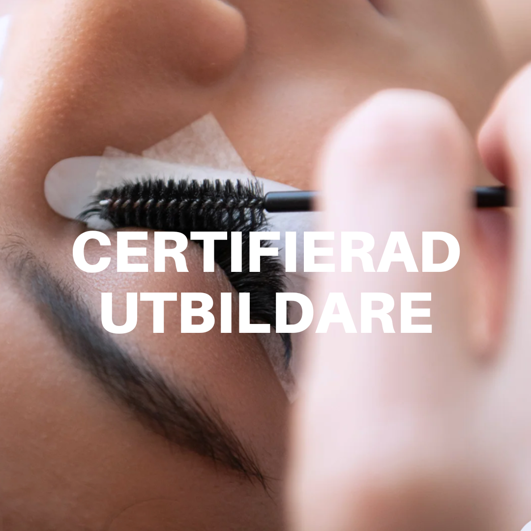 Master Utbildning Fransstylist -  Certifierad Utbildare & Avancerade Volymfransar